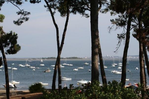 Le Sommet Des Dunes Hotel Lège-Cap-Ferret Szoba fotó